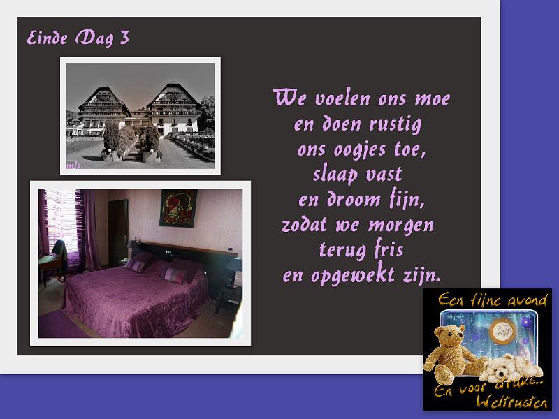 Elzas 2011-3de dag (265).jpg